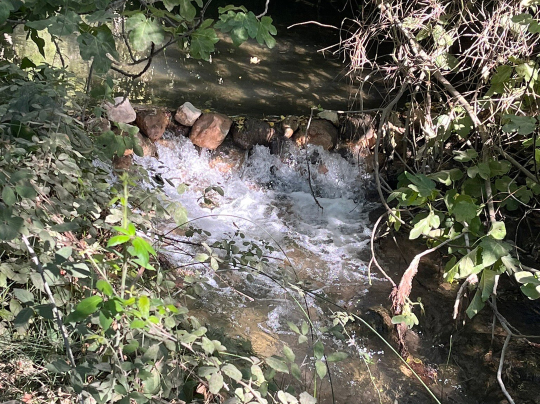 Sendero Rio Majaceite-El Bosque必去景点