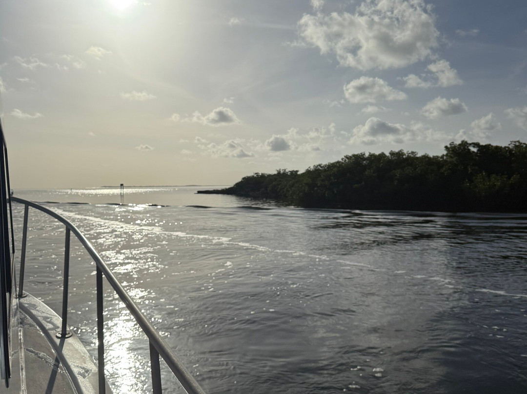 Living The Dream Divers-七哩滩必去景点