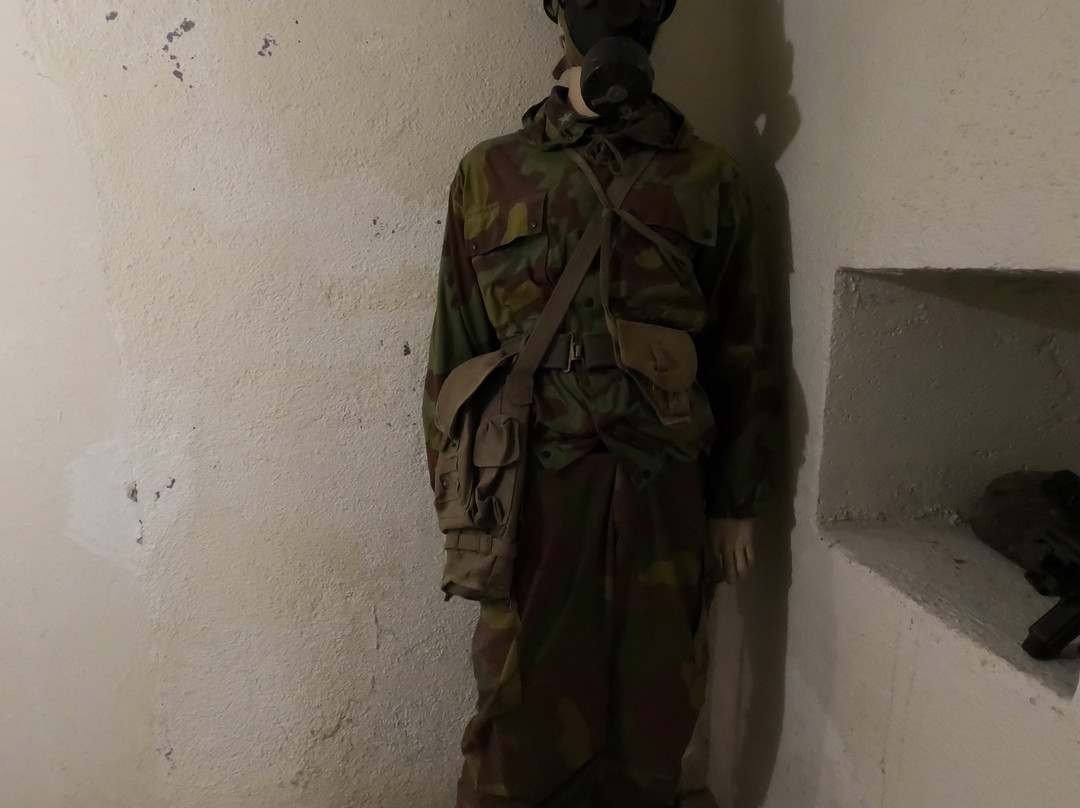 Bunker Museum-多比亚科必去景点