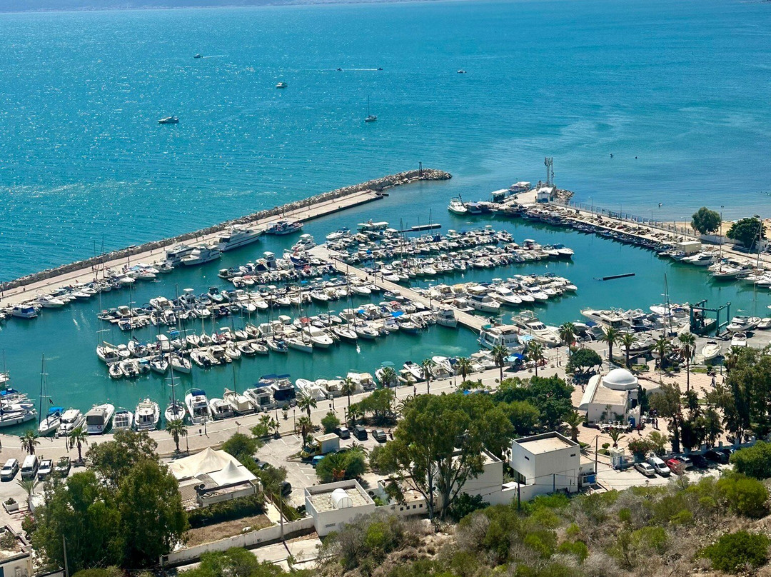 Dar Nejma Ezzahra 宫殿-蓝白小镇必去景点