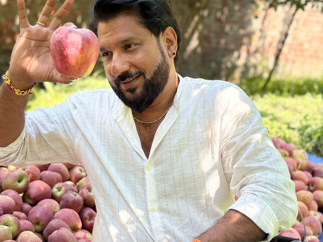 The Holidaz Travel Kashmir-斯利那加必去景点