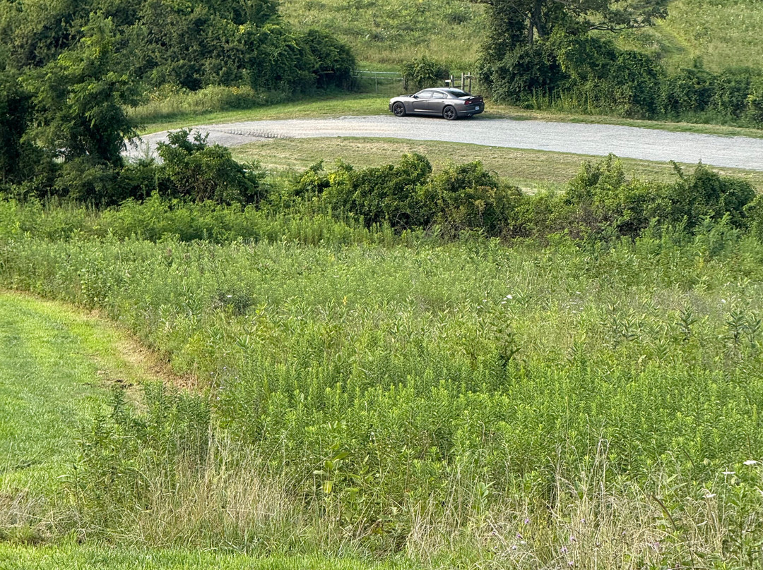 Quality Inn Waynesboro - Skyline Drive主图