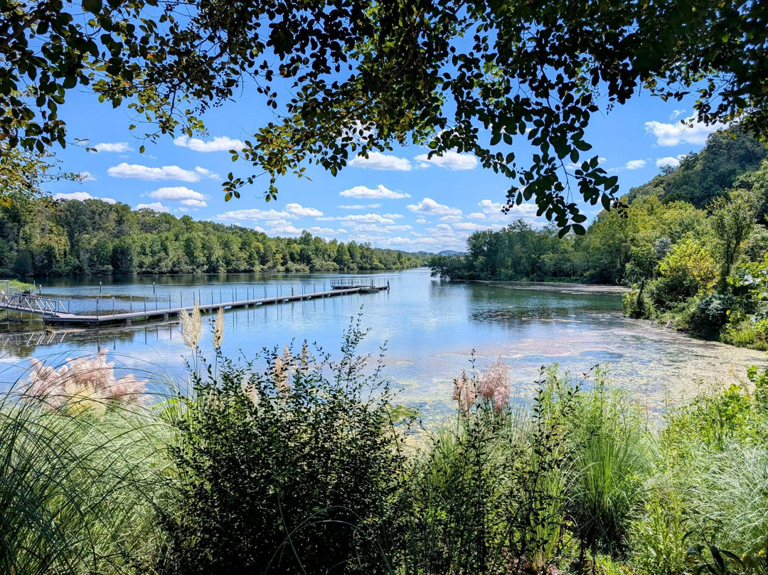 Melton Lake Greenway-橡树岭必去景点