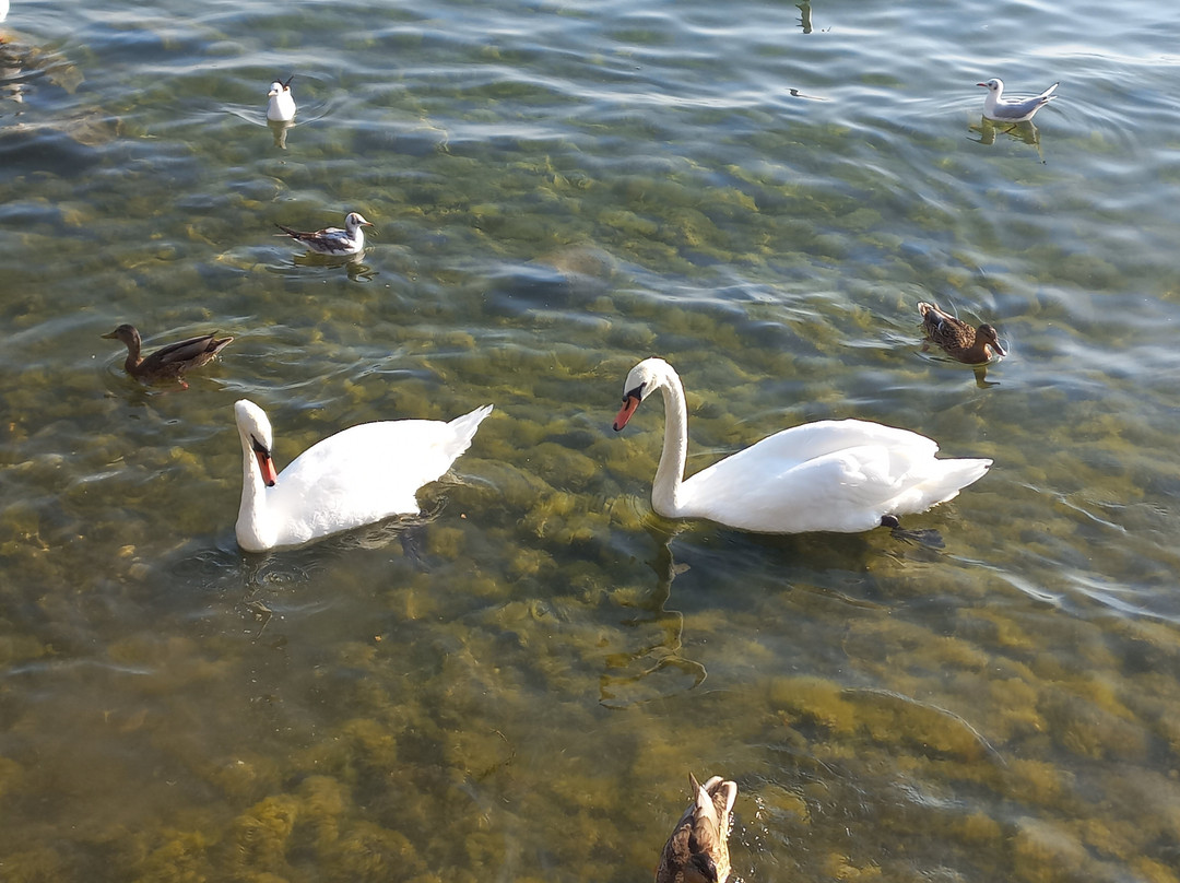 Explore Macedonia Daily Tours-斯科普里必去景点