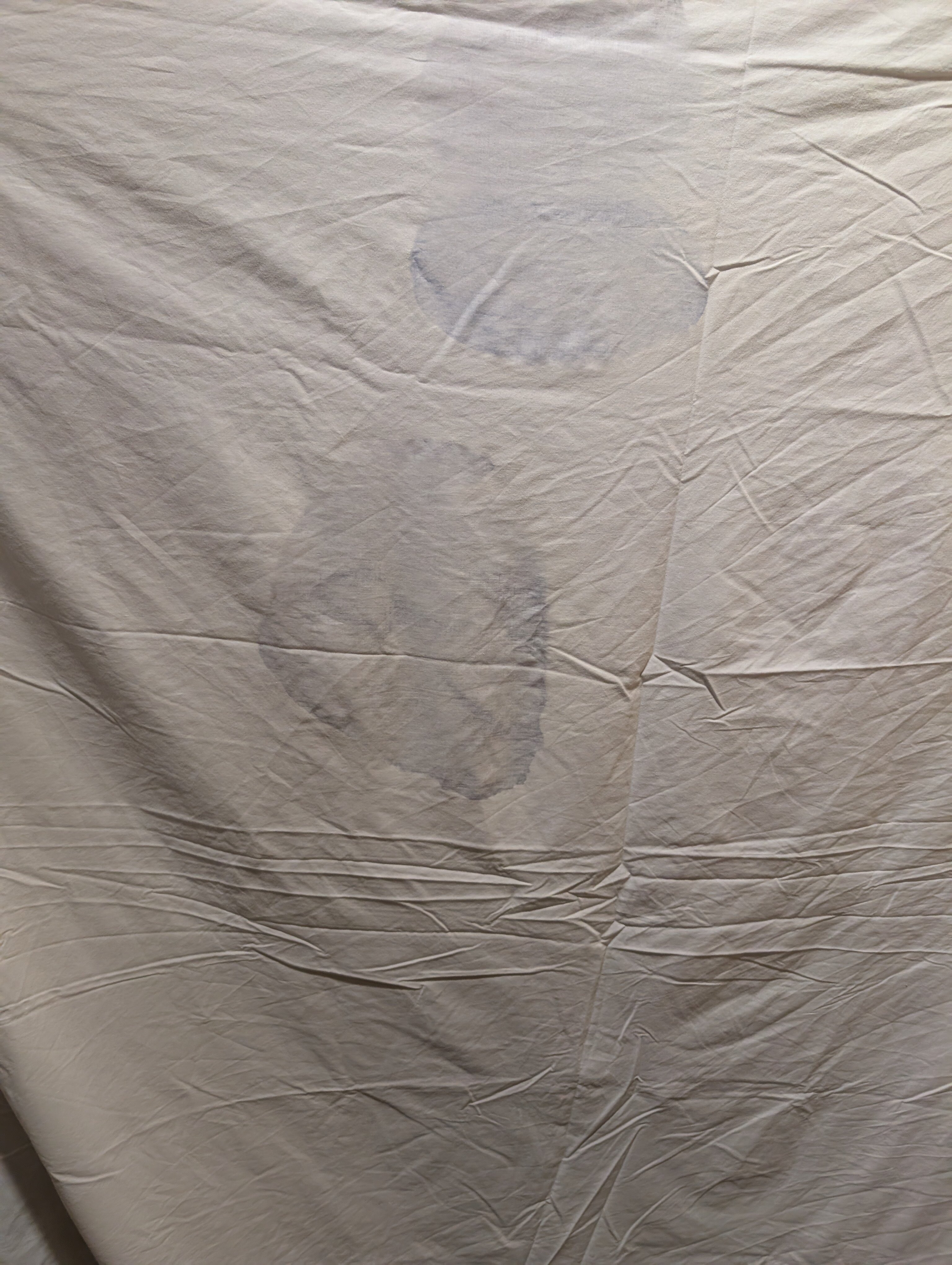 旧金山机场/米尔布雷费尔菲尔德酒店-客卧