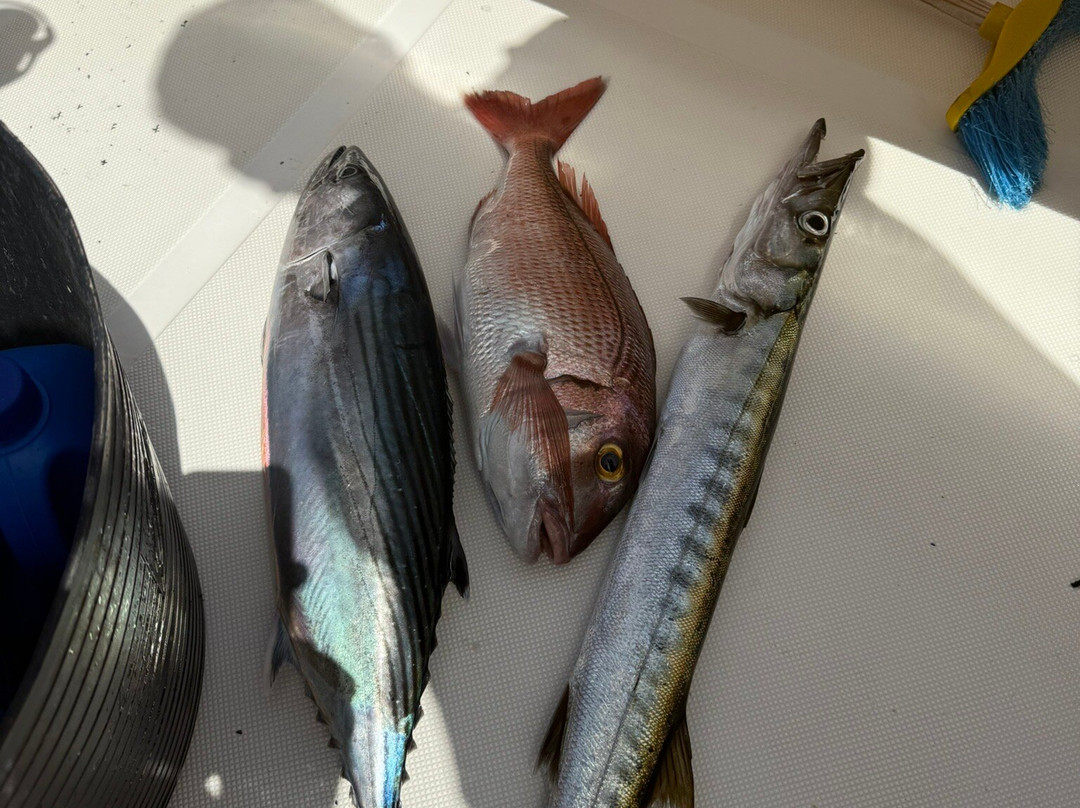 Corralejo Charter and Fishing-科拉雷侯必去景点