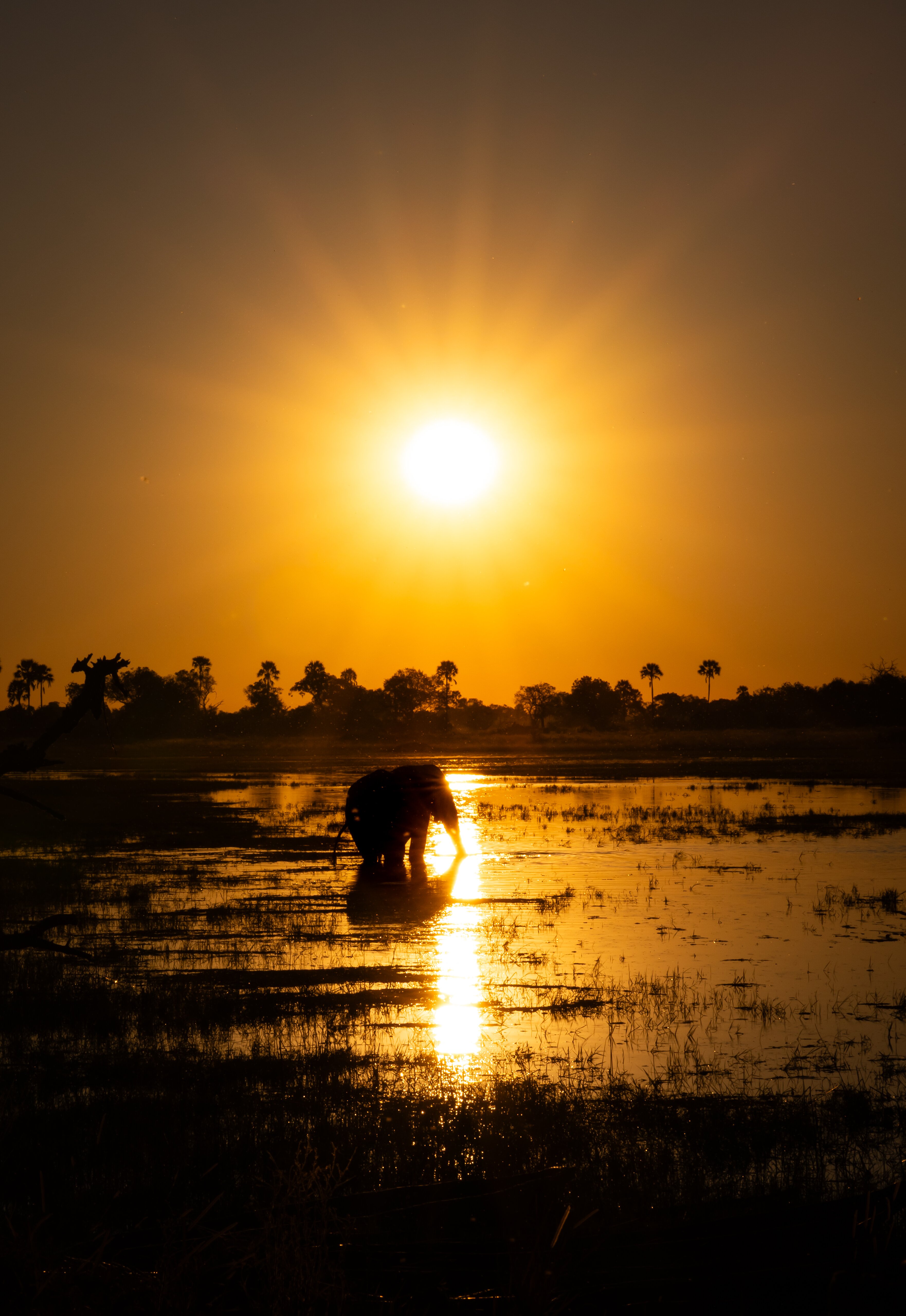 Oddballs' Camp-酒店景观
