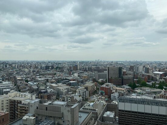 大都会酒店主图