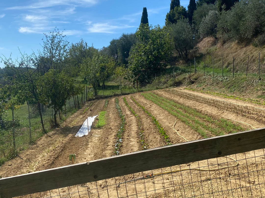 La Casina di Fontirossi Luana主图