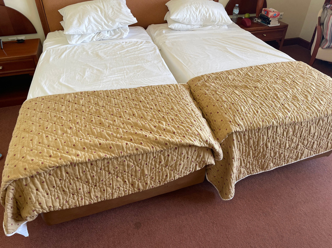 Kipriotis Panorama Hotel & Suites主图