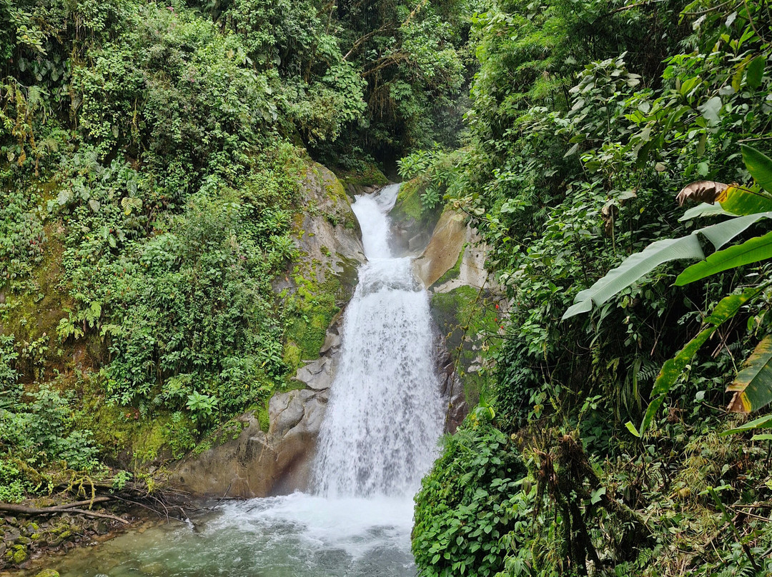 Cloudbridge Nature Reserve-San Gerardo De Rivas必去景点