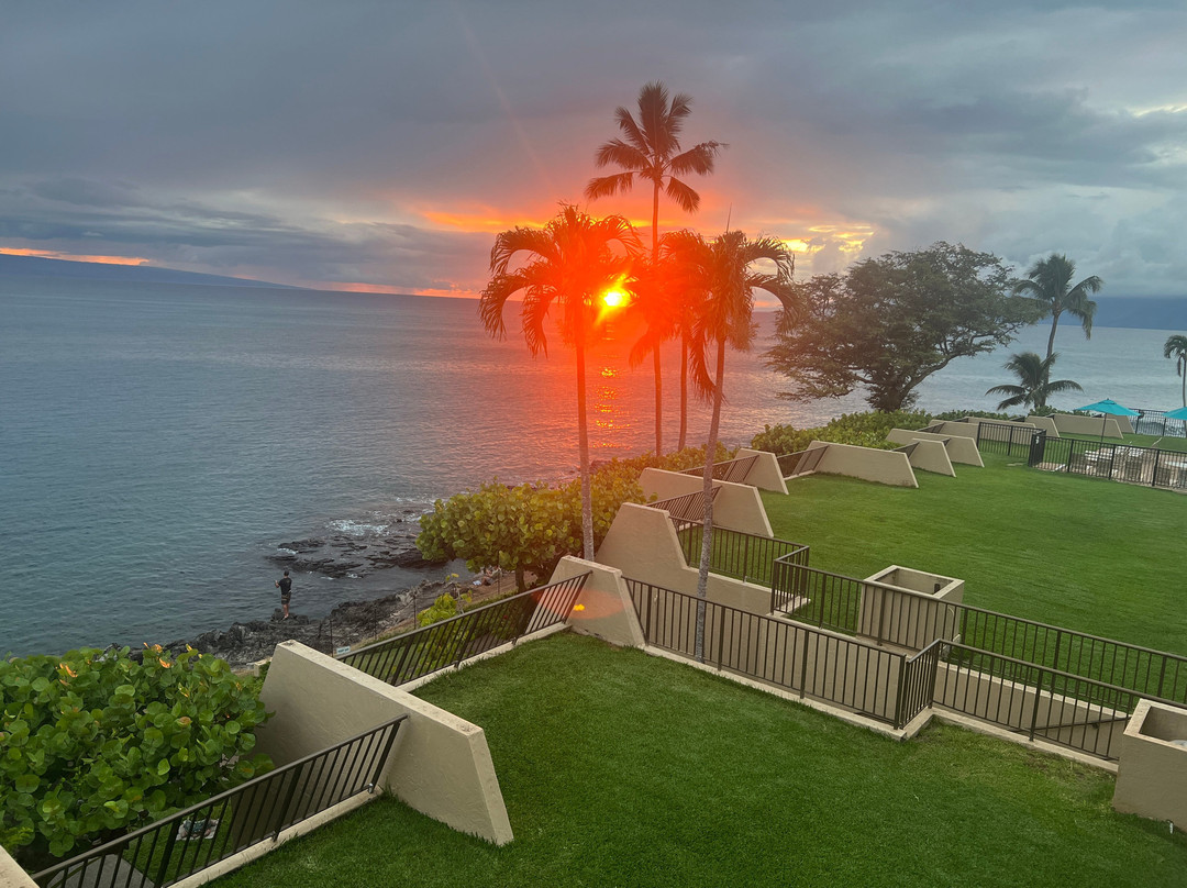 Napili Point Resort主图