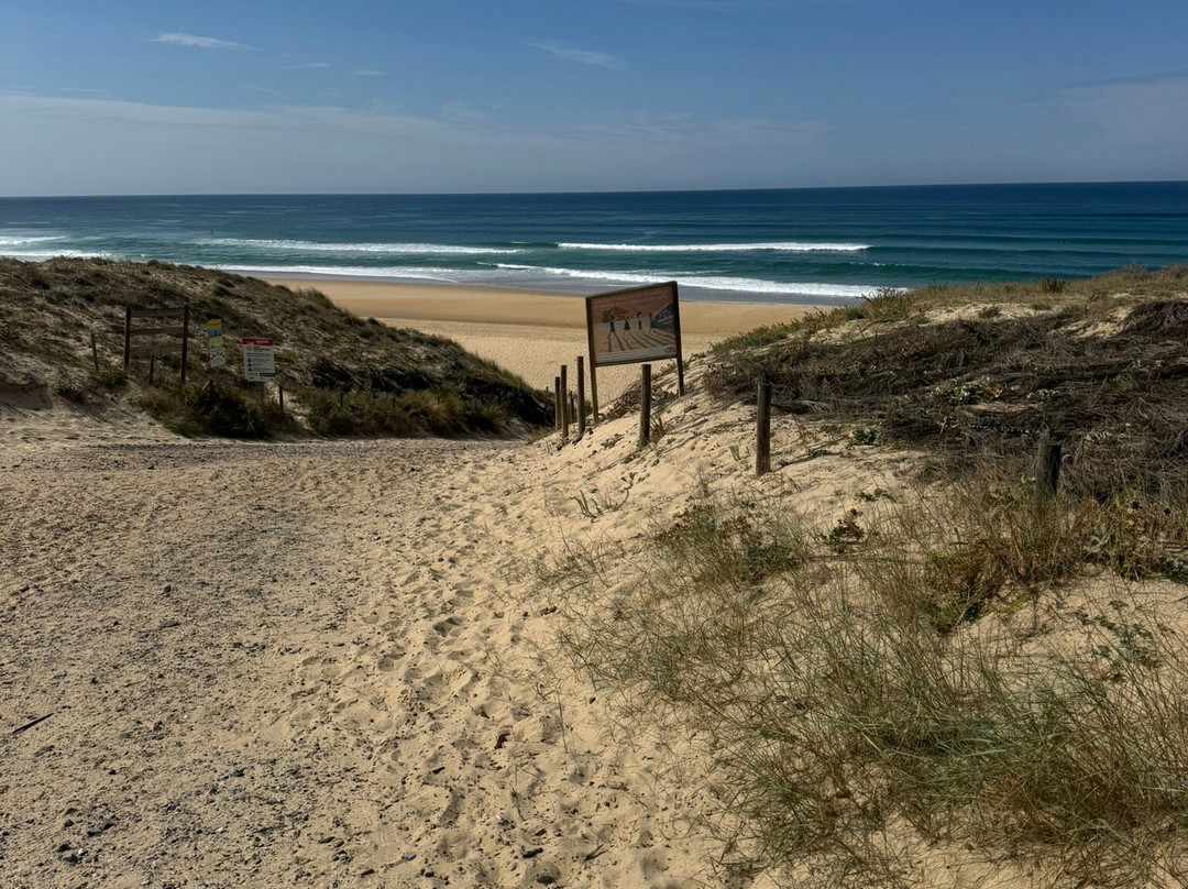 Cap de l'Homy-Lit-et-Mixe必去景点