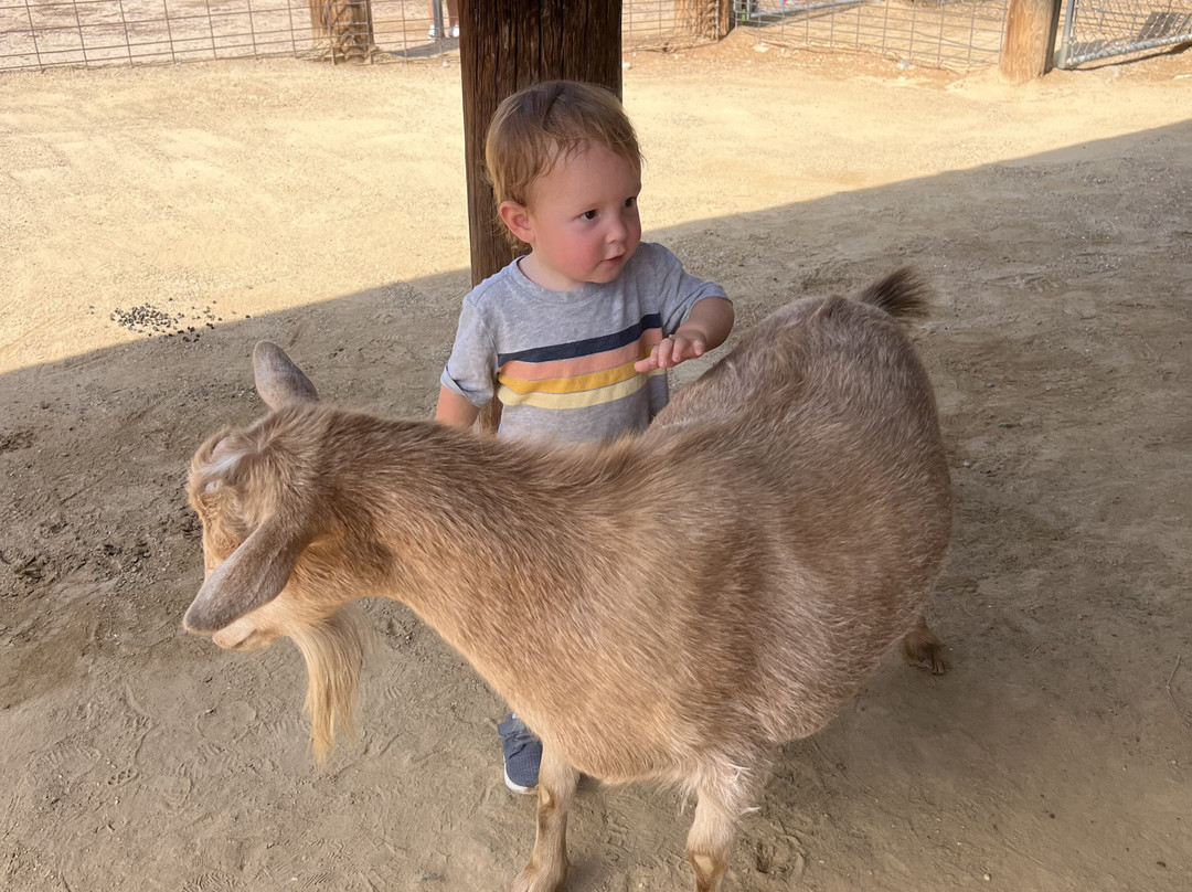 Wildlife World Zoo and Aquarium-Litchfield Park必去景点