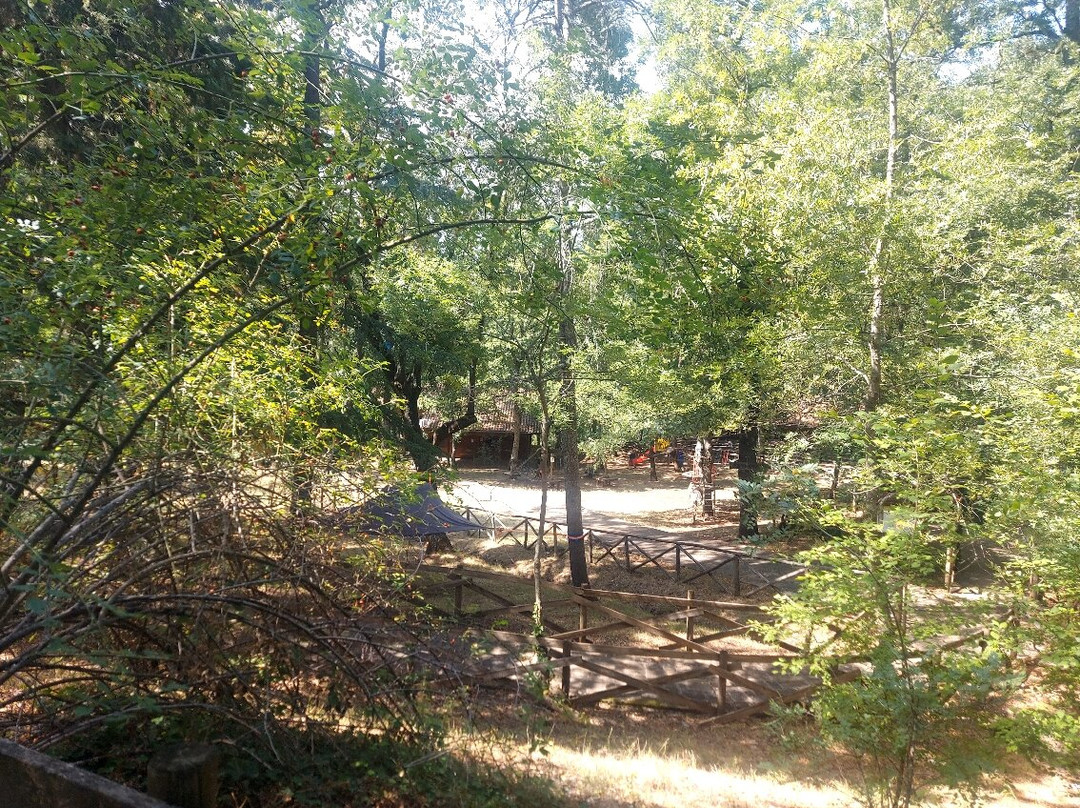 Lucania Outdoor Park-Accettura必去景点