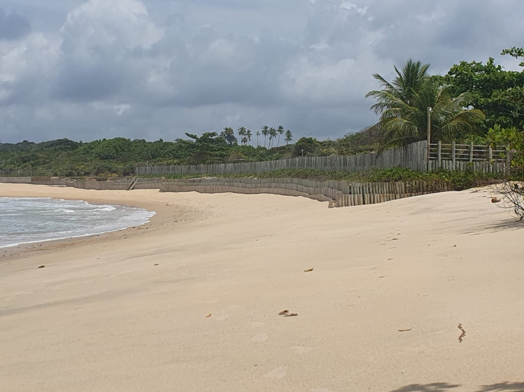 Ponta de Itaquena-特兰科苏必去景点