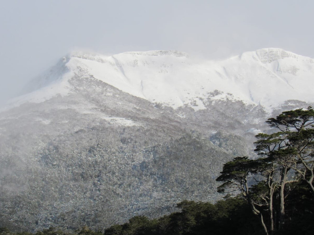 Faro San Isidro-蓬塔阿雷纳斯必去景点