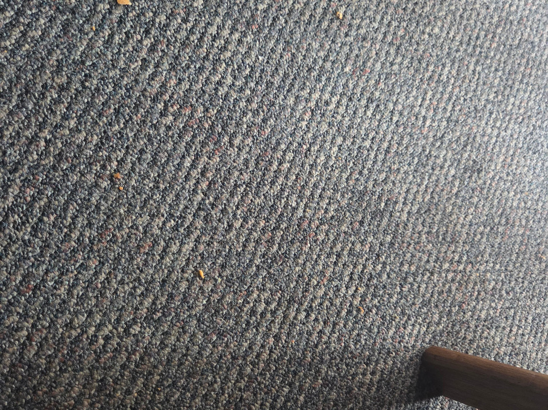 Old Coach Motor Inn主图