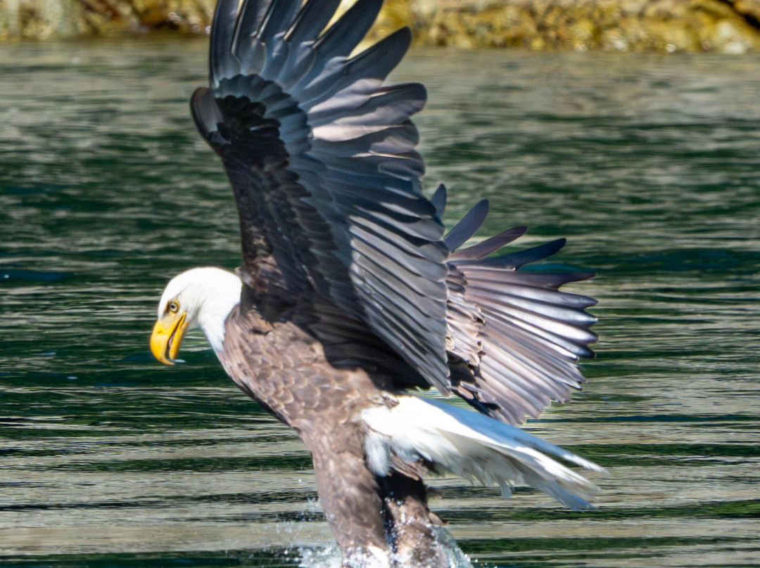 Adventure Quest Tours Canada Inc-坎贝尔里弗必去景点