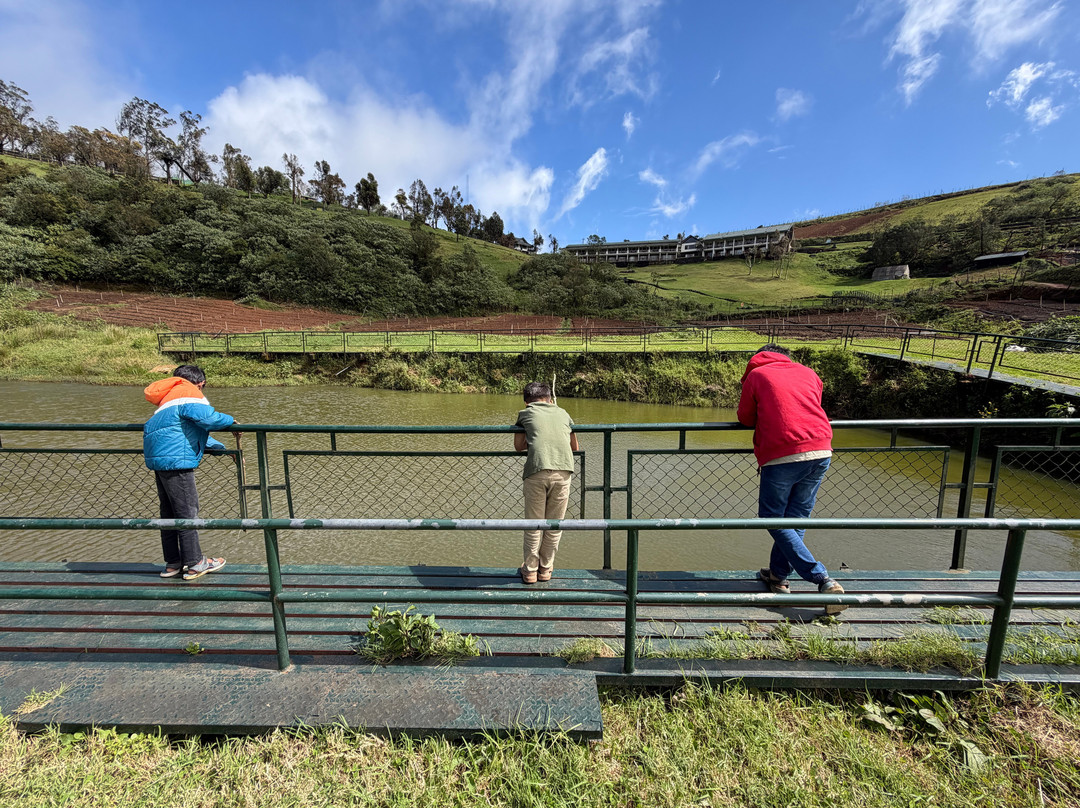 德斯蒂尼农场酒店主图