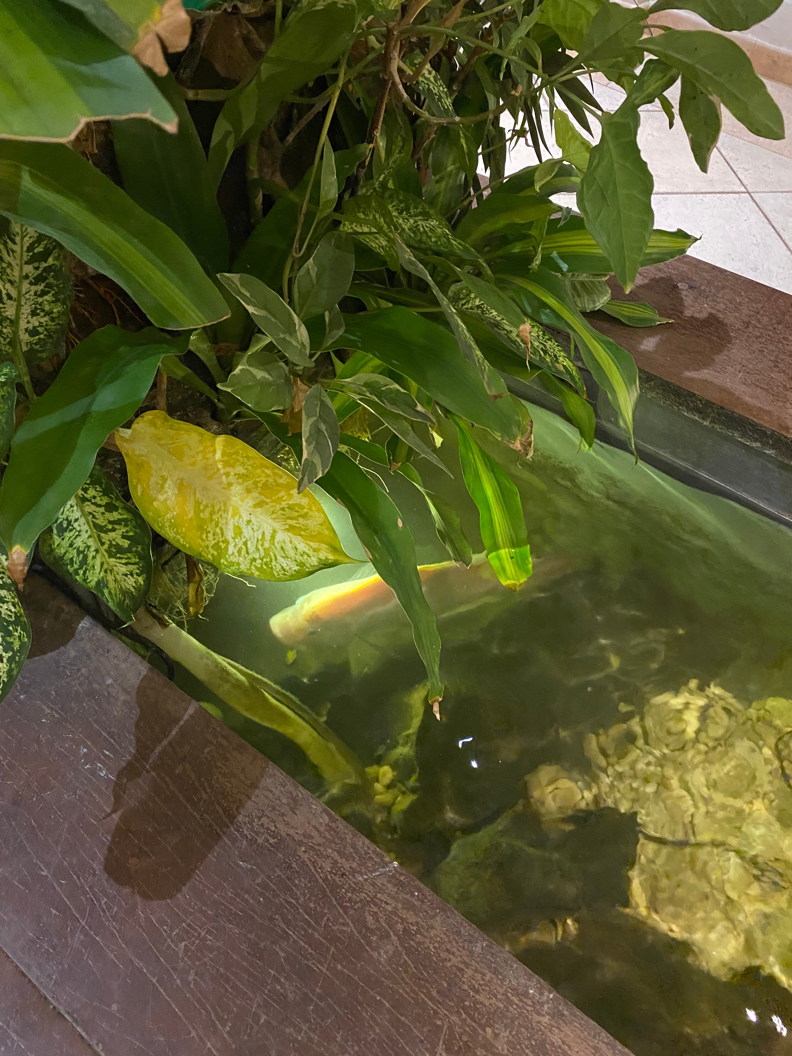 拉帕伊贺酒店-浴室