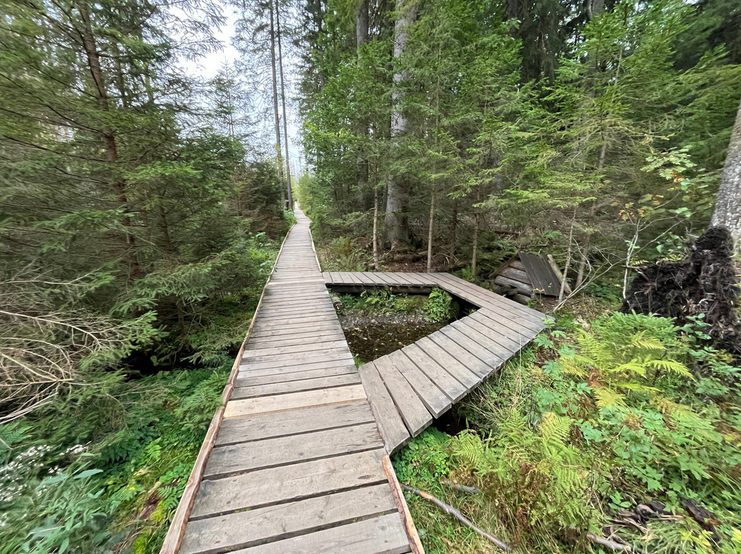 The nature trail. Rejvíz - Mechová jezírka-Zlate Hory必去景点