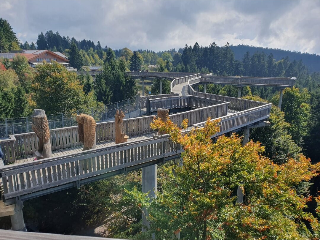 Waldwipfelweg-圣恩尔马尔必去景点