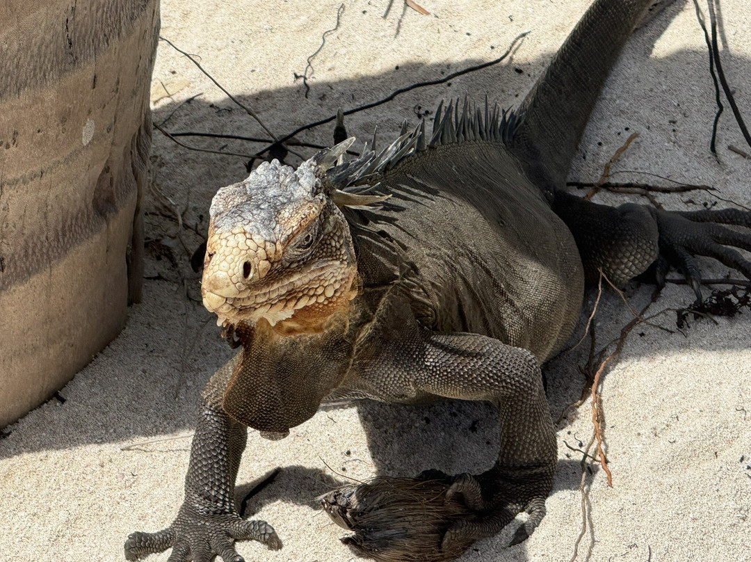 Petite Terre-瓜德罗普岛必去景点
