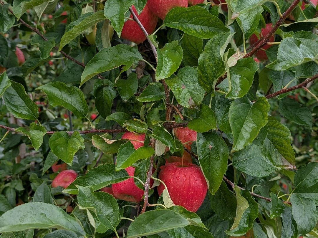 Sentiero Del Lez-Malgolo必去景点