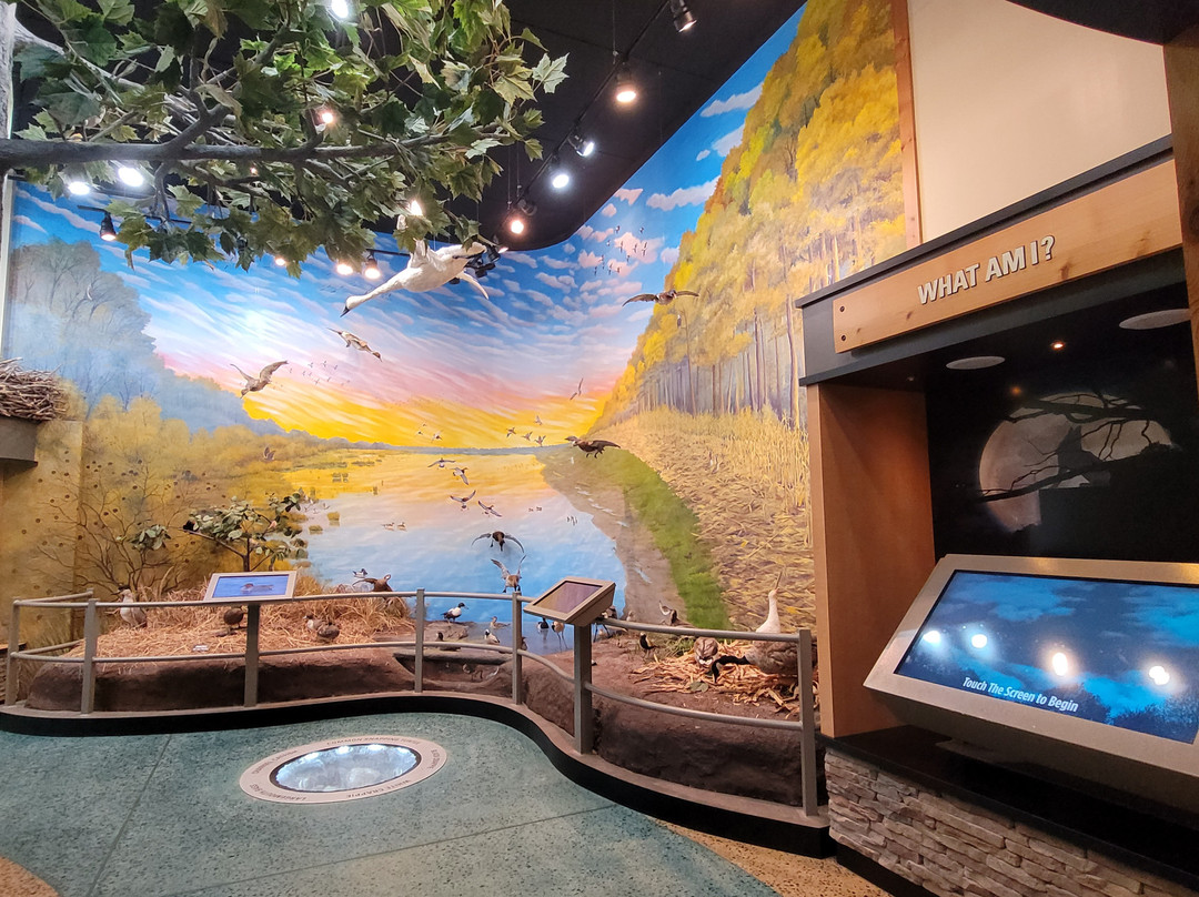 Tennessee National Wildlife Refuge-Springville必去景点