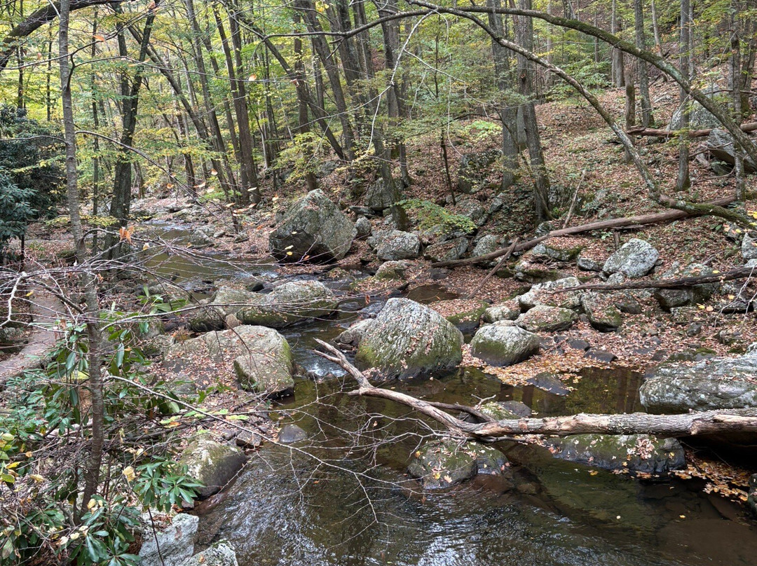 Cascades National Recreation Trail-Pembroke必去景点