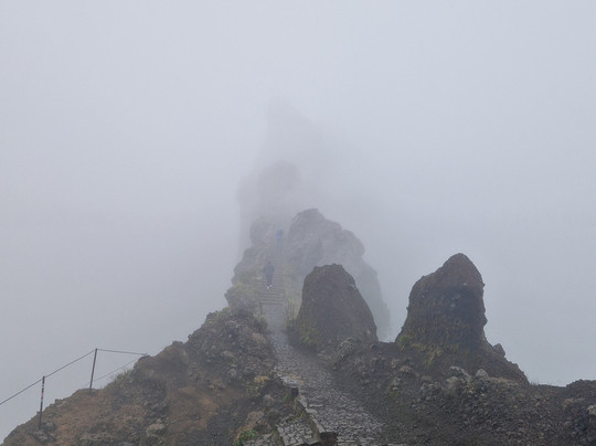 Up Mountain Madeira-沙尔必去景点