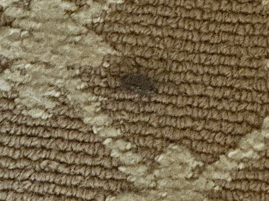 Country Inn & Suites by Radisson, Tifton, GA主图