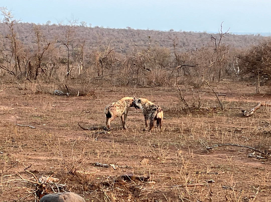 Discover Kruger Safaris-库马堤港必去景点