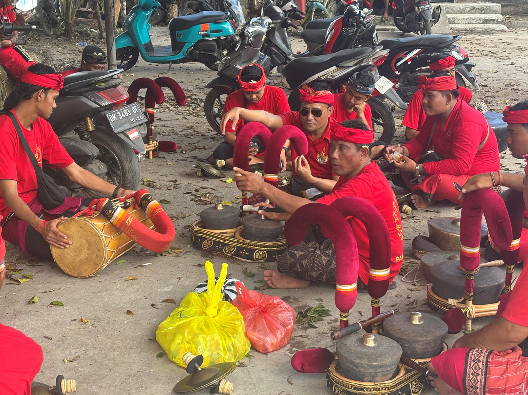 Best of Bali Tours-蓝梦岛必去景点