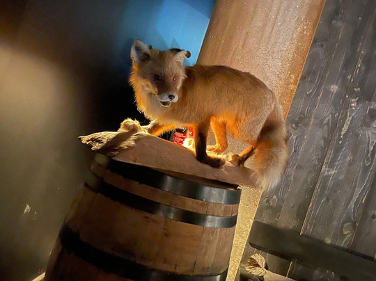 Kyro Sauna Bar-Isokyro必去景点