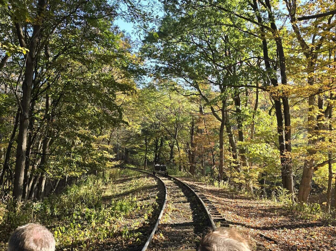 Tracks and Yaks-弗罗斯特堡必去景点