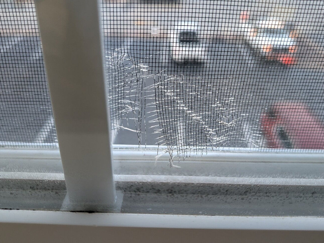 Microtel Inn & Suites by Wyndham Rice Lake主图