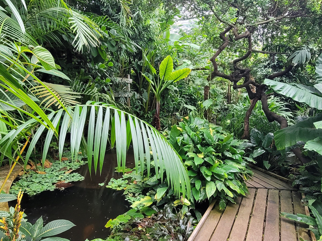 Caen Botanical Garden-卡昂必去景点