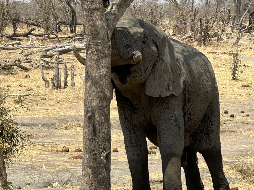 Shipungo Safari & Tours-马翁必去景点