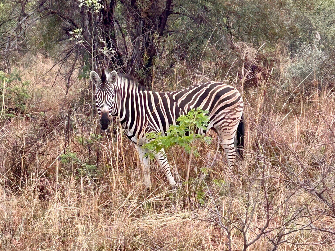 Loisico Tours and Excursions-Bloubergstrand必去景点