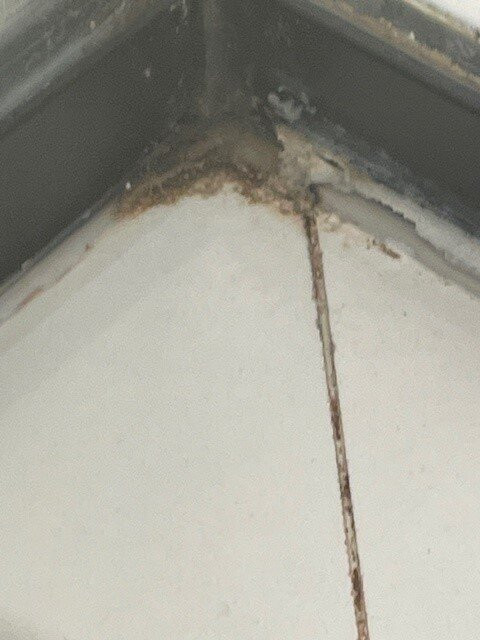 The Brenton Hotel主图