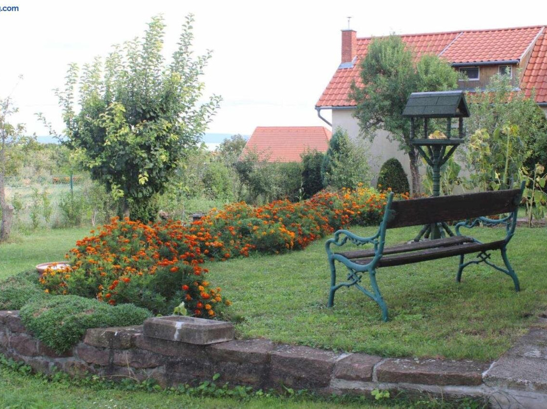 Golden Rose Apartman