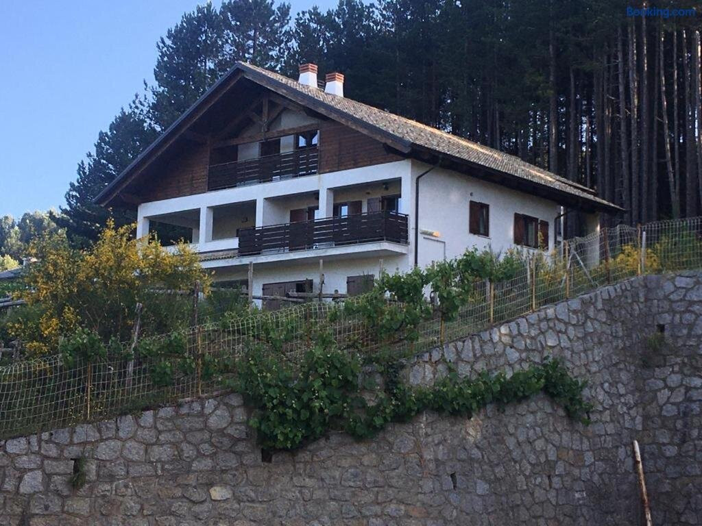 Tra Il Bosco E Il Lago