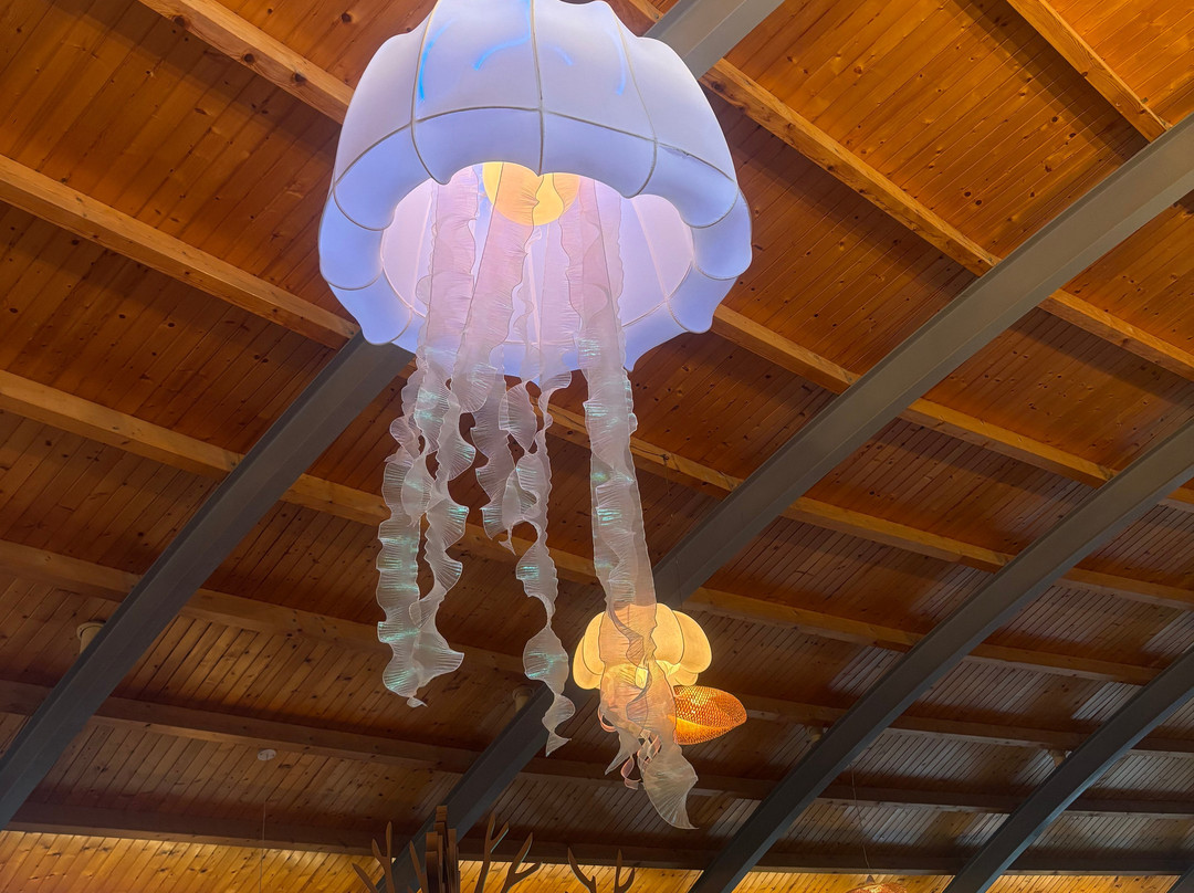 巴尔马水族馆-马洛卡帕尔马必去景点