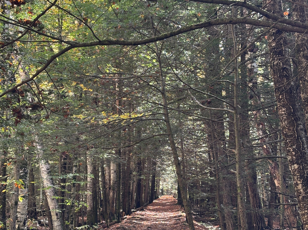Lye Brook Falls-曼彻斯特必去景点