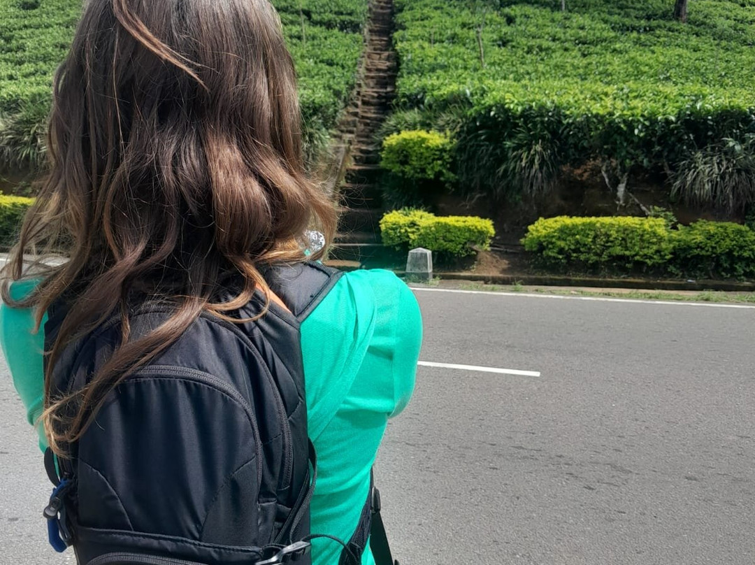 Kandy Tourist Information Center-康提必去景点