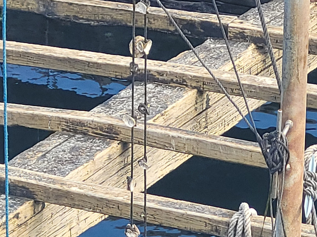 Cruceros do Ulla Turimares-格罗韦必去景点