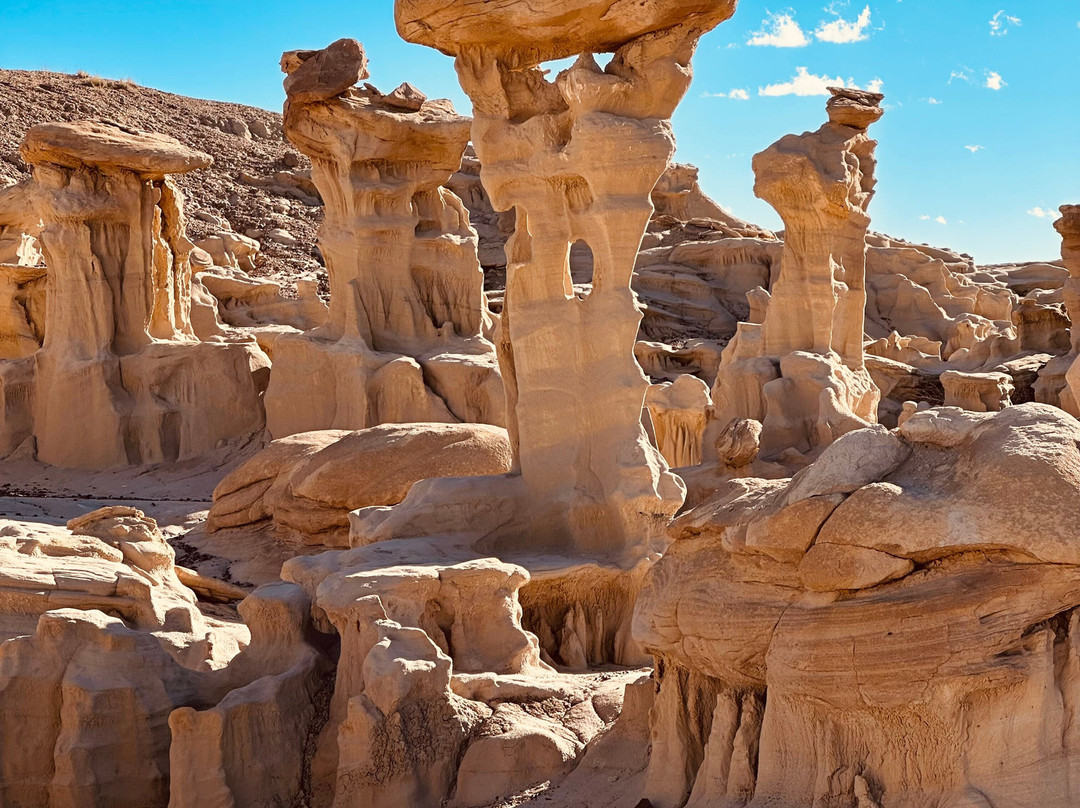 Navajo Tours USA-Nageezi必去景点