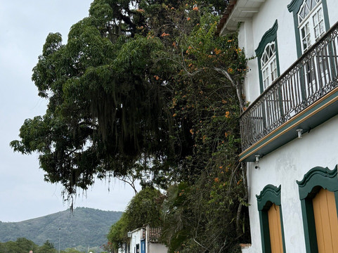 Free Walker Tours Paraty-帕拉地必去景点